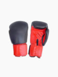 Boxing Gloves 12